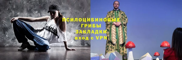твердый Алексин