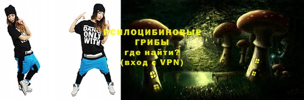 твердый Алексин
