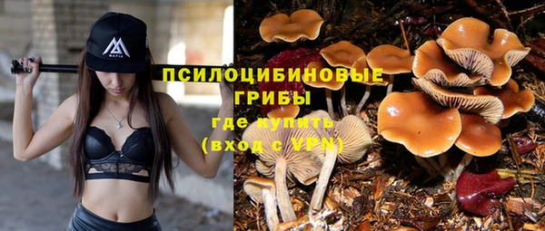 спиды Алексеевка