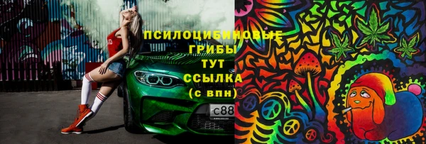 спиды Алексеевка