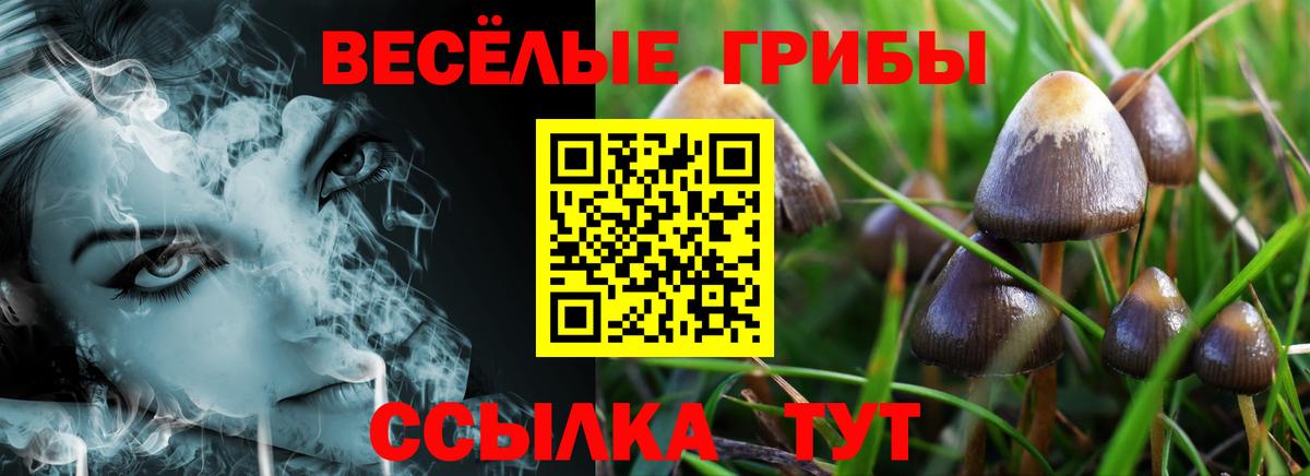 Псилоцибиновые грибы Magic Shrooms Елизово