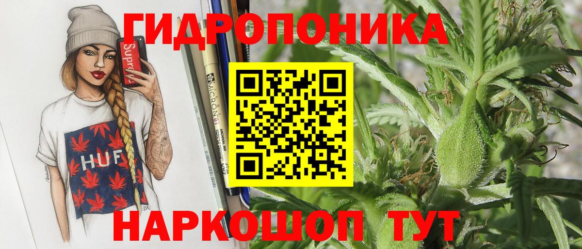 Елизово  Шишки марихуана Ganja  Вход с VPN  МАРИХУАНА планчик  Шишки марихуана планчик  Конопля MAZAR 